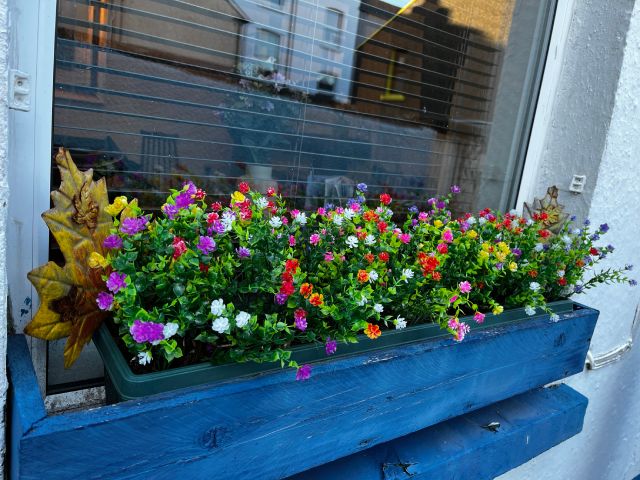 Garden window box